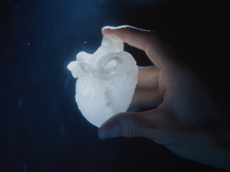 A 3D-printed heart