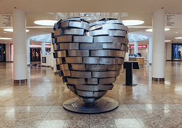 Heart of steel image