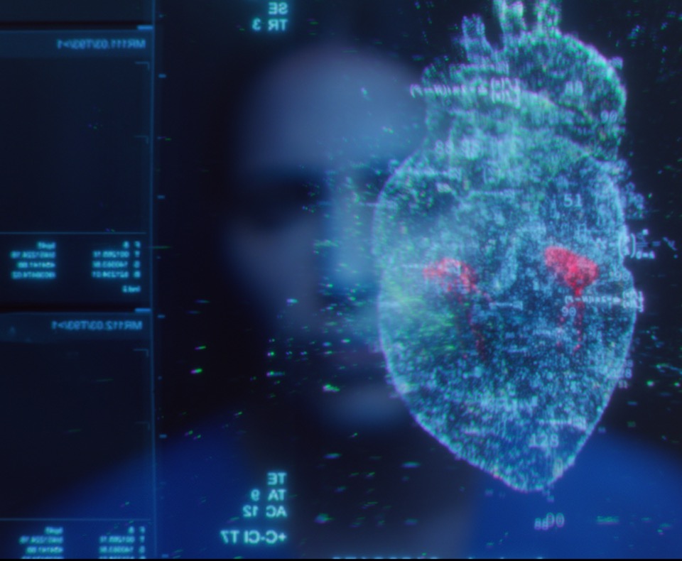 Computer generated imagery of a heart