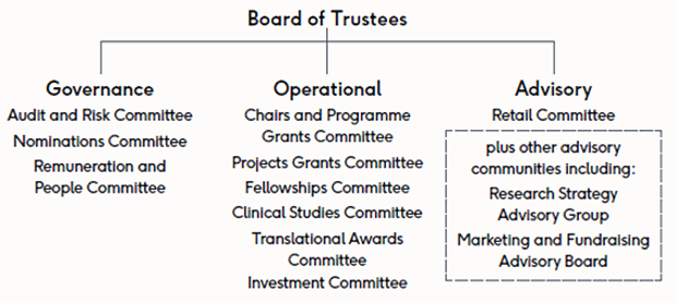 Our committee structure