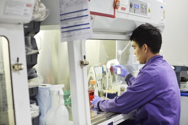 A researcher working in a lab